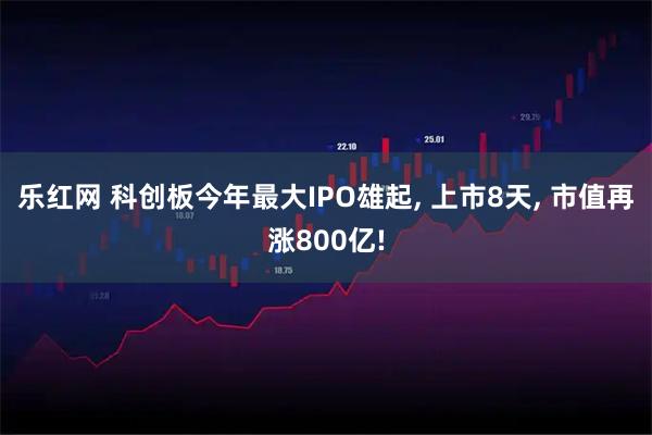 乐红网 科创板今年最大IPO雄起, 上市8天, 市值再涨800亿!