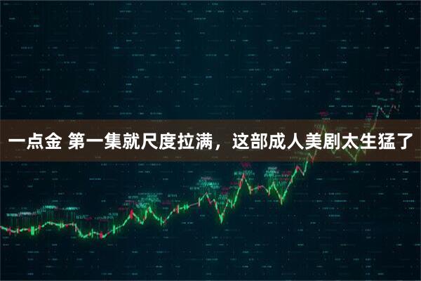 一点金 第一集就尺度拉满，这部成人美剧太生猛了